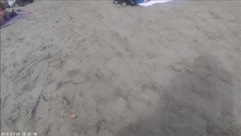 Публичный секас на нудистском пляже